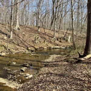 Morgan Creek below duplex 2