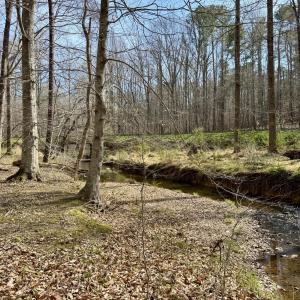 Morgan Creek meets Dairyland Rd