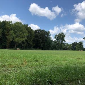 IMG_20260702_072058