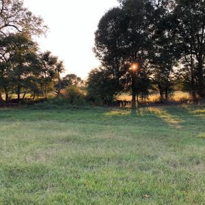 IMG_20260702_072048
