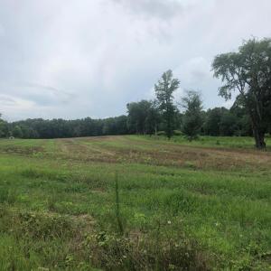 IMG_20260702_072113