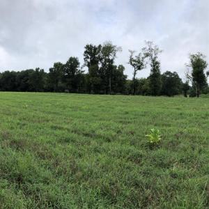 Photo #17 of Cone, Middlesex, NC 31.4 acres