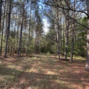 Photo #8 of Beaver Dam, Creedmoor, NC 19.6 acres