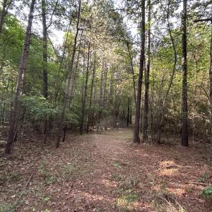 Photo #12 of Beaver Dam, Creedmoor, NC 19.6 acres