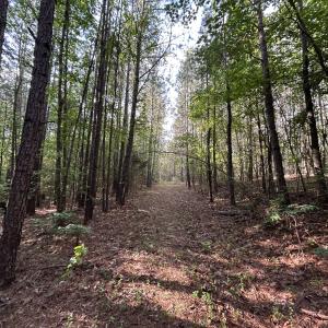Photo #11 of Beaver Dam, Creedmoor, NC 19.6 acres