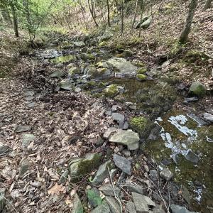 Photo #4 of Beaver Dam, Creedmoor, NC 19.6 acres