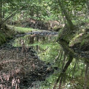 Photo #9 of Beaver Dam, Creedmoor, NC 19.6 acres
