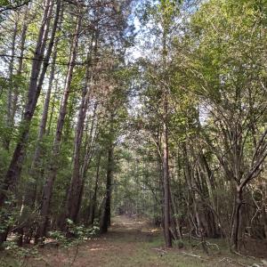 Photo #2 of Beaver Dam, Creedmoor, NC 19.6 acres