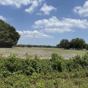 Photo #13 of Old Beulah, Kenly, NC 3.9 acres