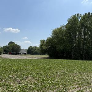 Photo #15 of Old Beulah, Kenly, NC 3.9 acres