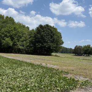Photo #12 of Old Beulah, Kenly, NC 3.9 acres