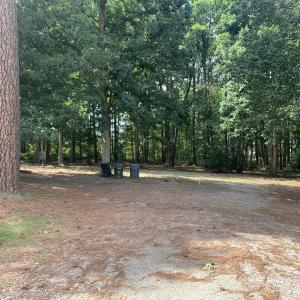 125 Green Survey