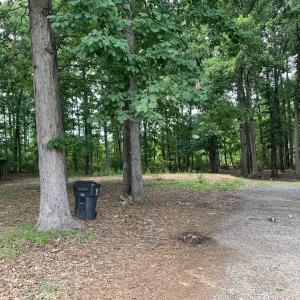 129 Entrance wooded