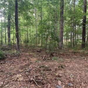129 Wooded