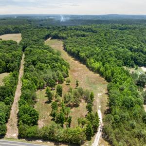 3-web-or-mls-11202 Rougemont Rd - 3