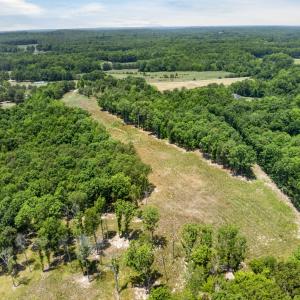 8-web-or-mls-11202 Rougemont Rd - 8
