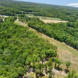 9-web-or-mls-11202 Rougemont Rd - 9