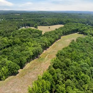 11-web-or-mls-11202 Rougemont Rd - 11