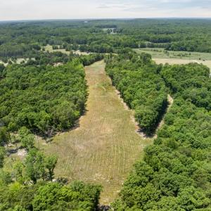 7-web-or-mls-11202 Rougemont Rd - 7