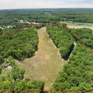 Marked 7-web-or-mls-11202 Rougemont Rd -