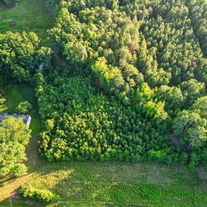 DJI_0047