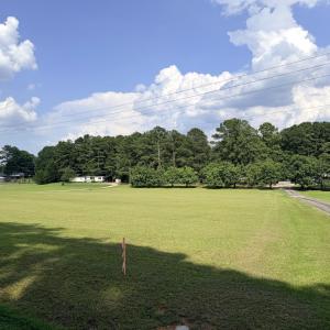 IMG_3790