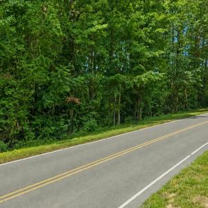Photo #4 of Hamlets Chapel, Pittsboro, NC 2.2 acres