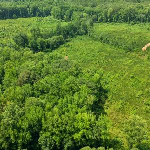 Photo #3 of Hamlets Chapel, Pittsboro, NC 2.2 acres
