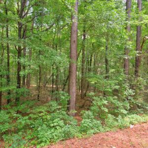Photo #8 of Dodsons Crossroads, Hillsborough, NC 4.8 acres