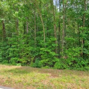 Photo #10 of Dodsons Crossroads, Hillsborough, NC 4.8 acres