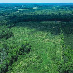 Photo #8 of 147 Hood Loop, Henderson, NC 57.0 acres