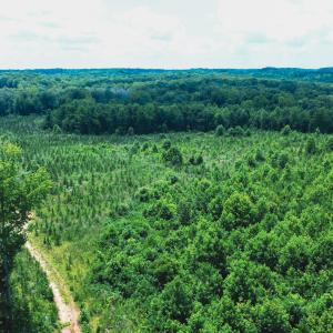Photo #19 of 147 Hood Loop, Henderson, NC 57.0 acres