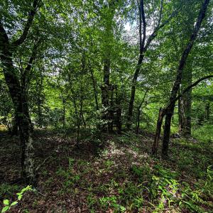 Photo #28 of 147 Hood Loop, Henderson, NC 57.0 acres