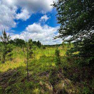 Photo #32 of 147 Hood Loop, Henderson, NC 57.0 acres