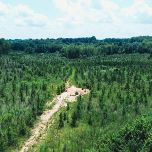 Photo #22 of 147 Hood Loop, Henderson, NC 57.0 acres