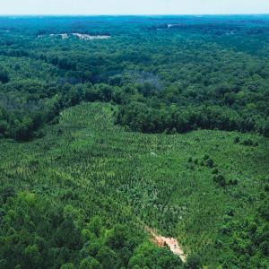 Photo #2 of 147 Hood Loop, Henderson, NC 57.0 acres