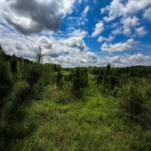 Photo #30 of 147 Hood Loop, Henderson, NC 57.0 acres