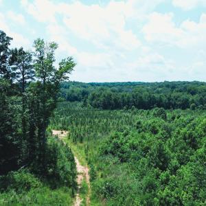 Photo #21 of 147 Hood Loop, Henderson, NC 57.0 acres