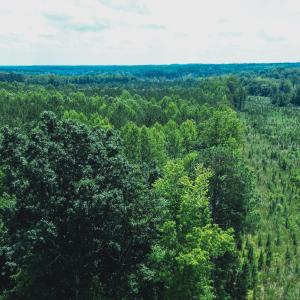 Photo #20 of 147 Hood Loop, Henderson, NC 57.0 acres