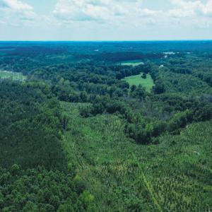Photo #4 of 147 Hood Loop, Henderson, NC 57.0 acres