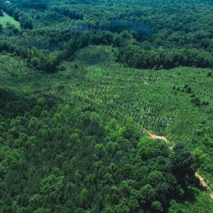 Photo #24 of 147 Hood Loop, Henderson, NC 57.0 acres