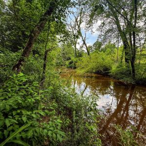 Photo #26 of 147 Hood Loop, Henderson, NC 57.0 acres
