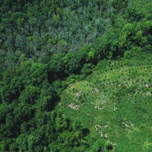 Photo #12 of 147 Hood Loop, Henderson, NC 57.0 acres