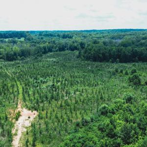 Photo #18 of 147 Hood Loop, Henderson, NC 57.0 acres