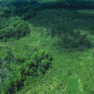 Photo #15 of 147 Hood Loop, Henderson, NC 57.0 acres