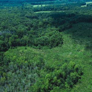Photo #11 of 147 Hood Loop, Henderson, NC 57.0 acres