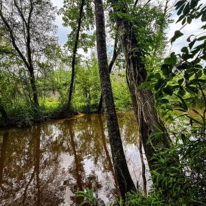 Photo #27 of 147 Hood Loop, Henderson, NC 57.0 acres