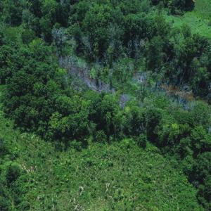 Photo #13 of 147 Hood Loop, Henderson, NC 57.0 acres