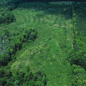 Photo #9 of 147 Hood Loop, Henderson, NC 57.0 acres