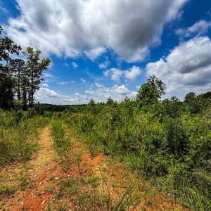 Photo #33 of 147 Hood Loop, Henderson, NC 57.0 acres